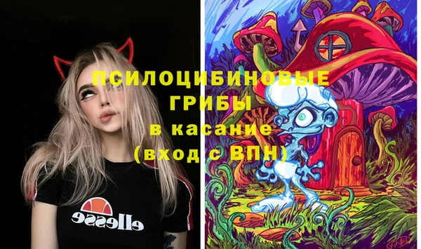 дурь Арсеньев