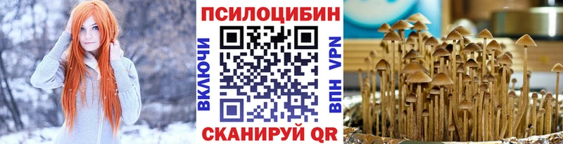 Псилоцибиновые грибы MAGIC MUSHROOMS  Фрязино 