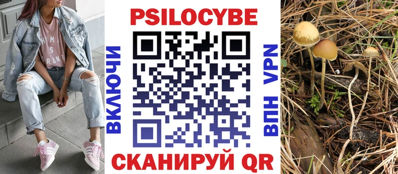 Галлюциногенные грибы Psilocybe Фрязино